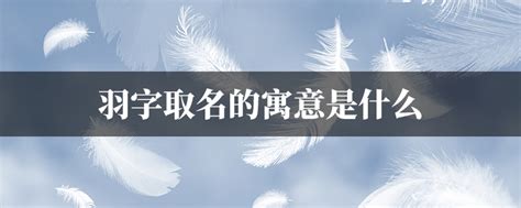 羽的名字|羽字取名的寓意是什么？带羽字的古风唯美名字推荐